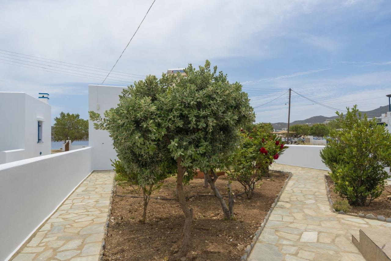 Studios Ninemia Serifos 5 Livadi  Dış mekan fotoğraf